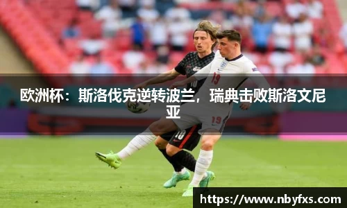 B体育bsports
