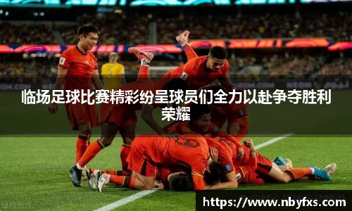 B体育bsports
