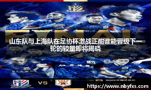 bsports官网入口