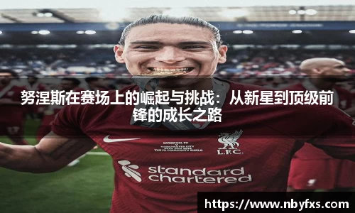 bsports官网入口