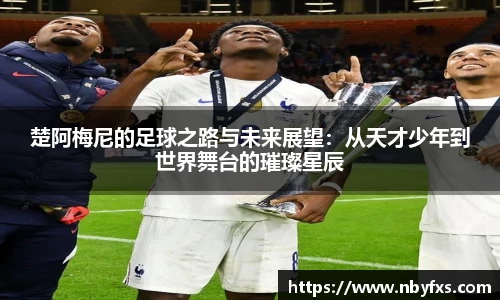 B体育bsports