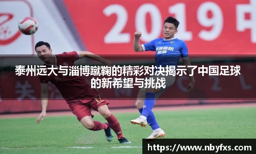 bsports官网入口