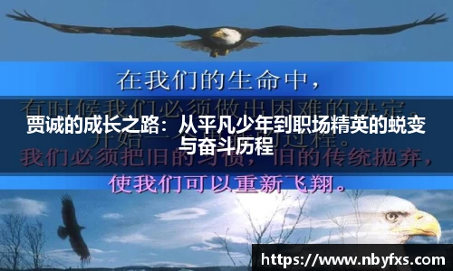 必一贾诚的成长之路：从平凡少年到职场精英的蜕变与奋斗历程